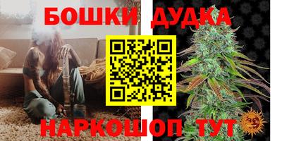 альфа пвп Новокубанск
