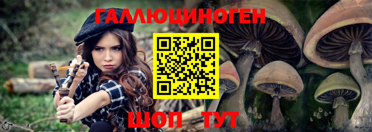 Псилоцибиновые грибы Psilocybe Шарыпово