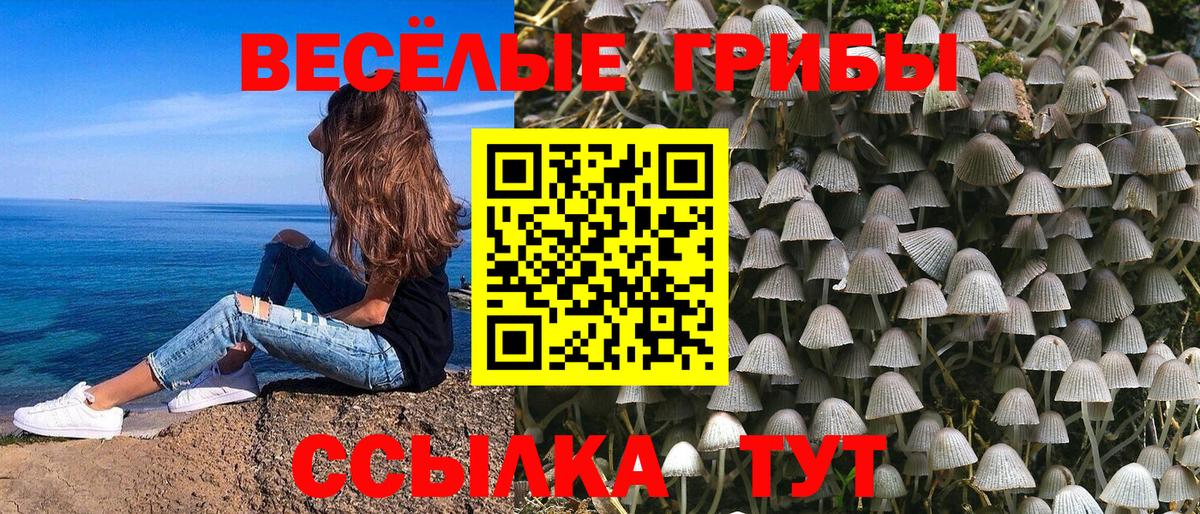 Шарыпово  Псилоцибиновые грибы Cubensis  Вход с VPN  Псилоцибиновые грибы Psilocybe 